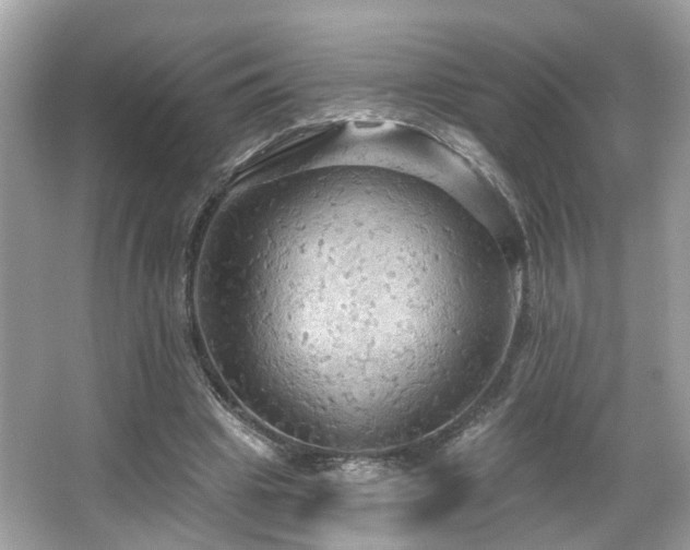 X0000066090441200603101210