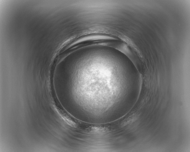 X0000066090442200603101210