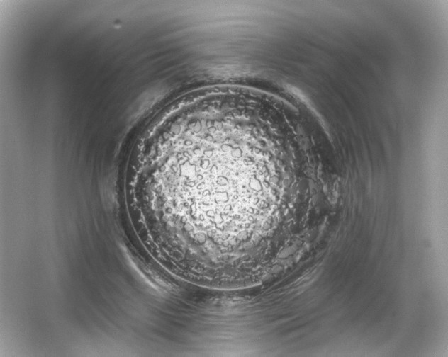 X0000066090443200603101210