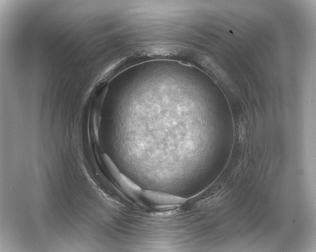 X0000066090444200603101210