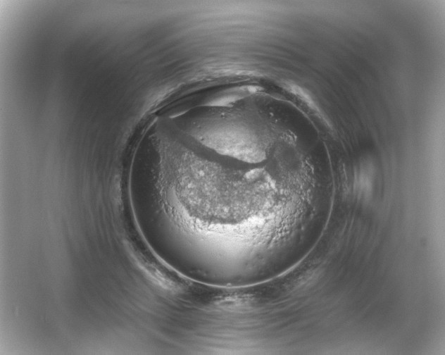 X0000066090447200603101210