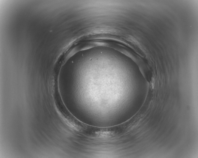 X0000066090448200603101210