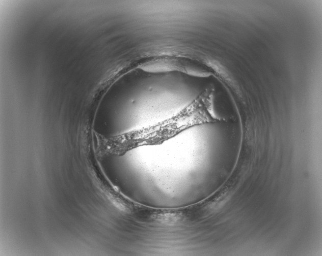 X0000066090449200603101210