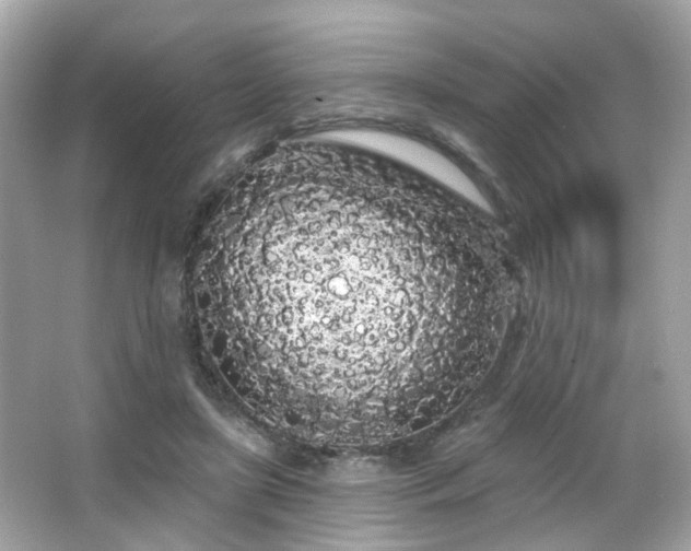 X0000066090451200603101210