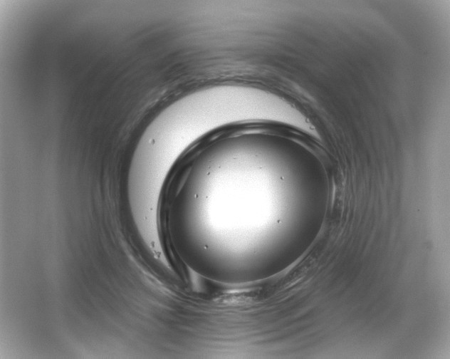 X0000066090452200603101210