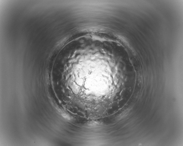 X0000066090453200603101210