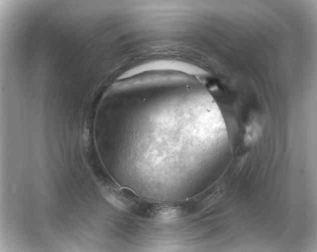 X0000066090456200603101210