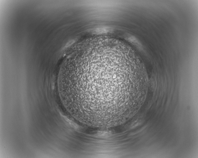 X0000066090458200603101210