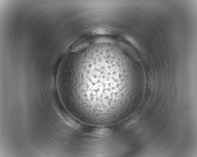 X0000066090459200603101210