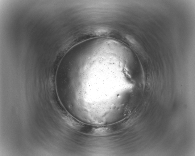 X0000066090461200603101210