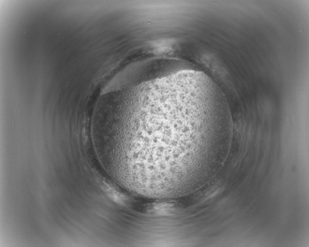 X0000066090462200603101210