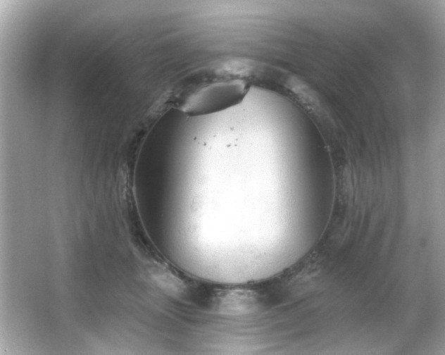 X0000066090463200603101210