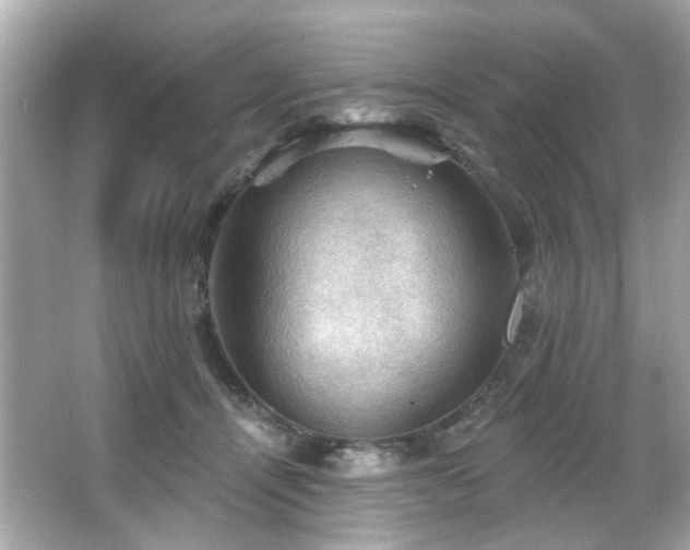 X0000066090464200603101210