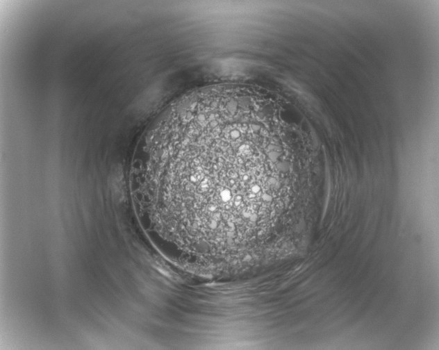 X0000066090465200603101210