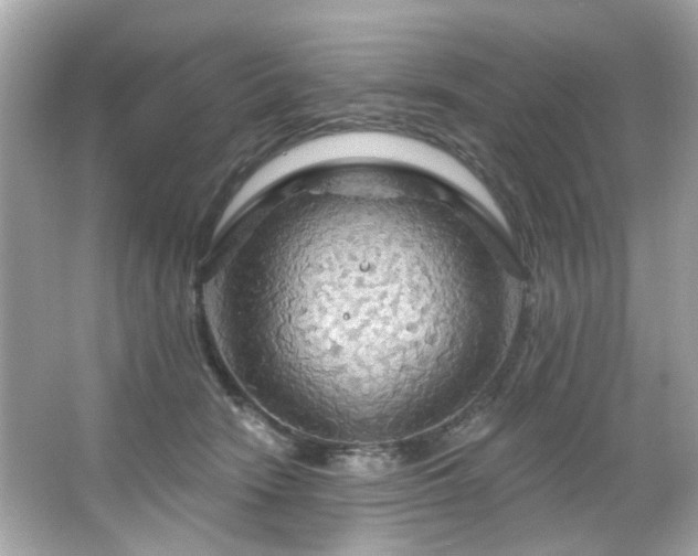 X0000066090466200603101210