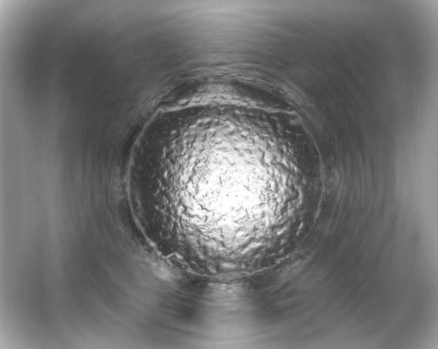 X0000066090469200603101210