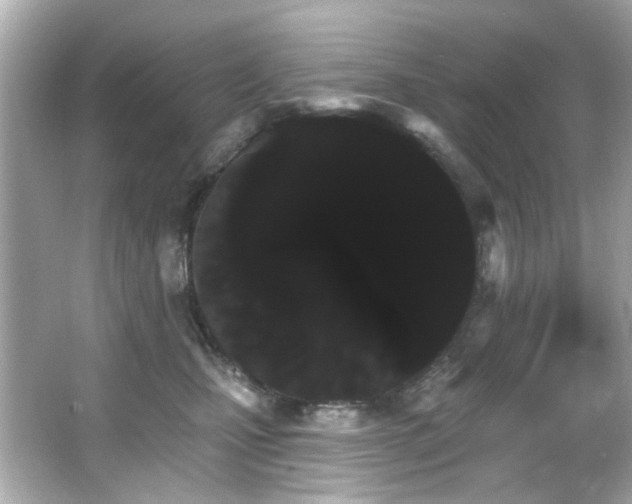 X0000066090471200603101210