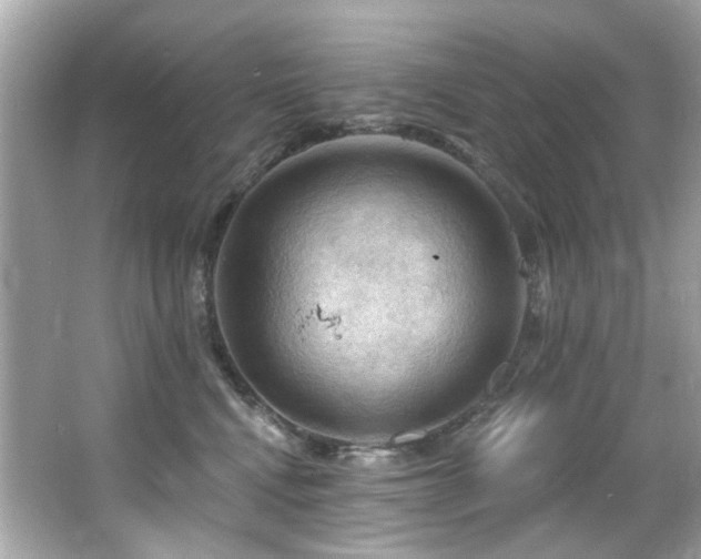 X0000066090472200603101210