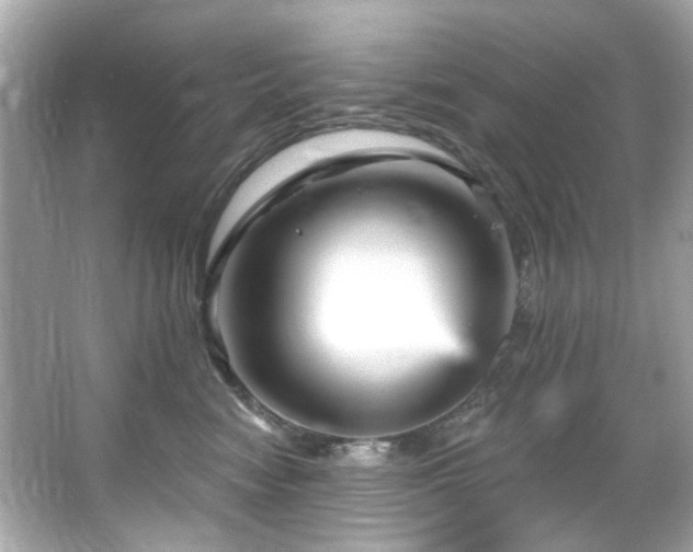 X0000066090474200603101211