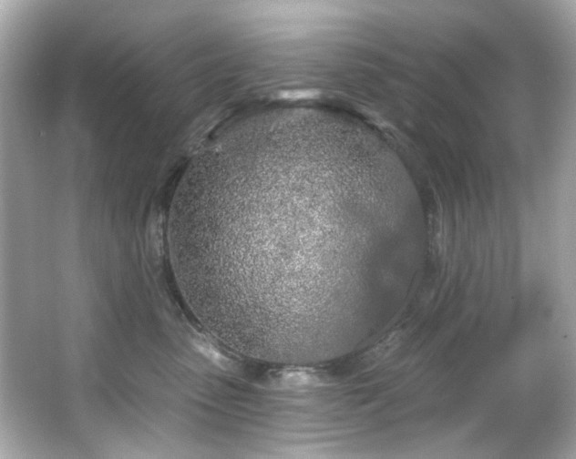 X0000066090475200603101211