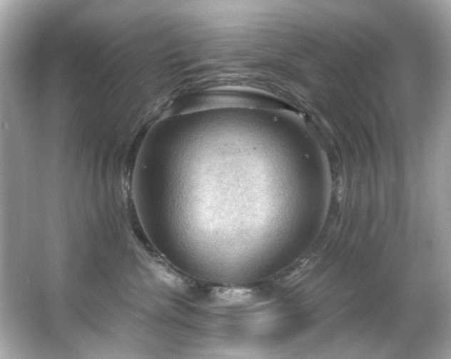 X0000066090476200603101211