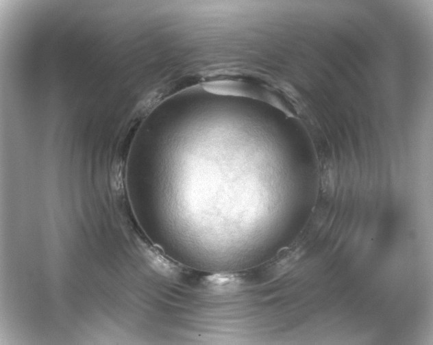 X0000066090477200603101211