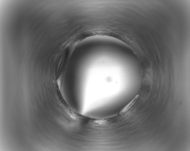 X0000066090478200603101211