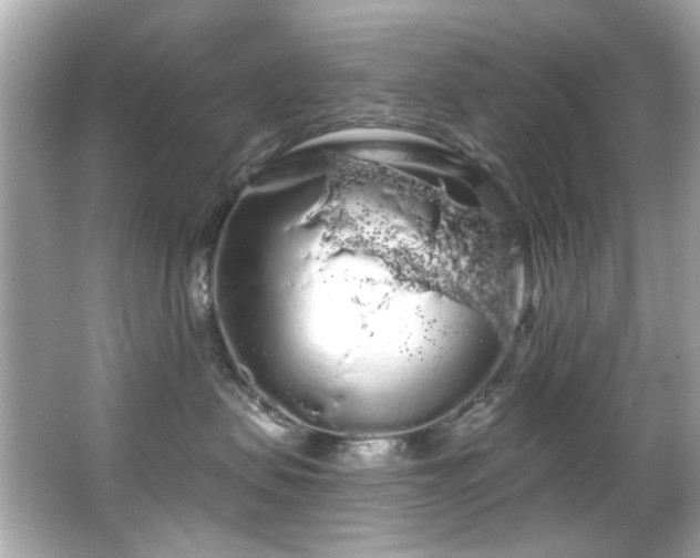 X0000066090479200603101211