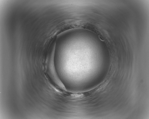 X0000066090480200603101211