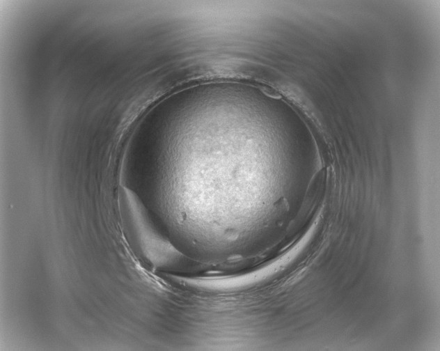 X0000066090481200603101210