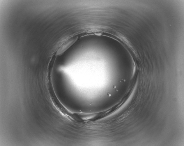 X0000066090485200603101210