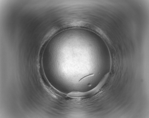 X0000066090486200603101210