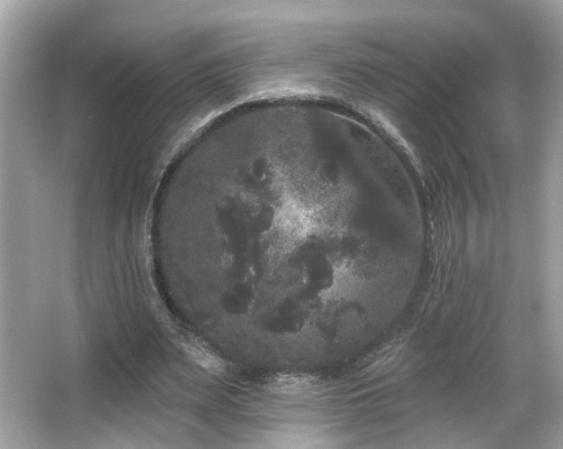 X0000066090487200603101210