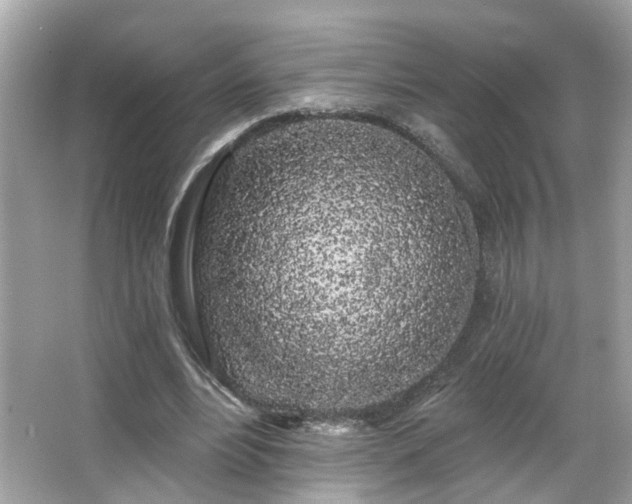 X0000066090488200603101210