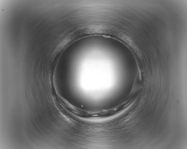 X0000066090489200603101210