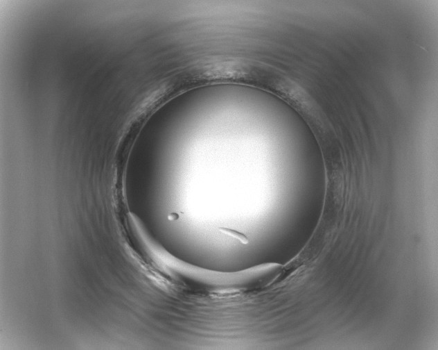 X0000066090490200603101210