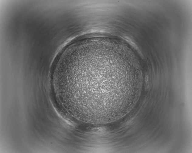 X0000066090492200603101210