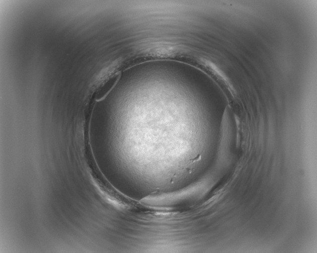 X0000066090493200603101210