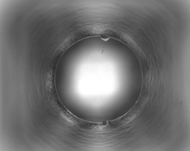 X0000066090497200603101210