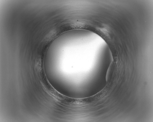 X0000066090498200603101210