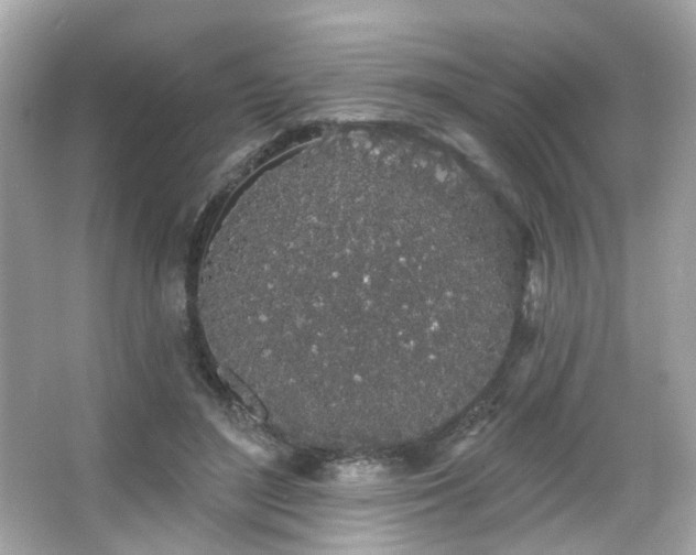 X0000066090500200603101210