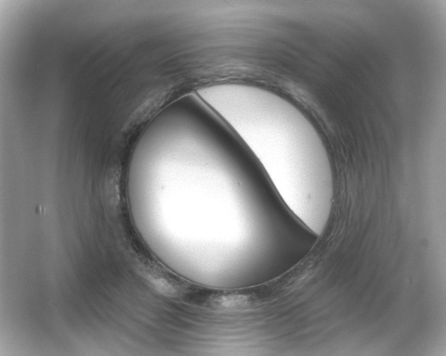 X0000066090501200603101209