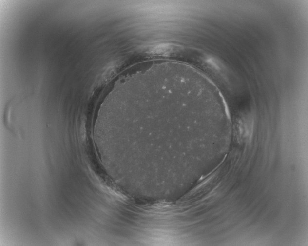 X0000066090504200603101209