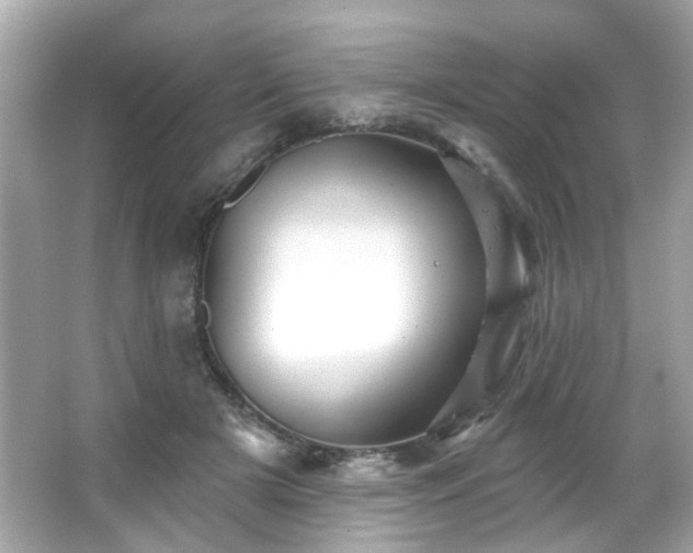 X0000066090505200603101209