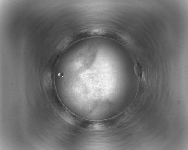 X0000066090506200603101209