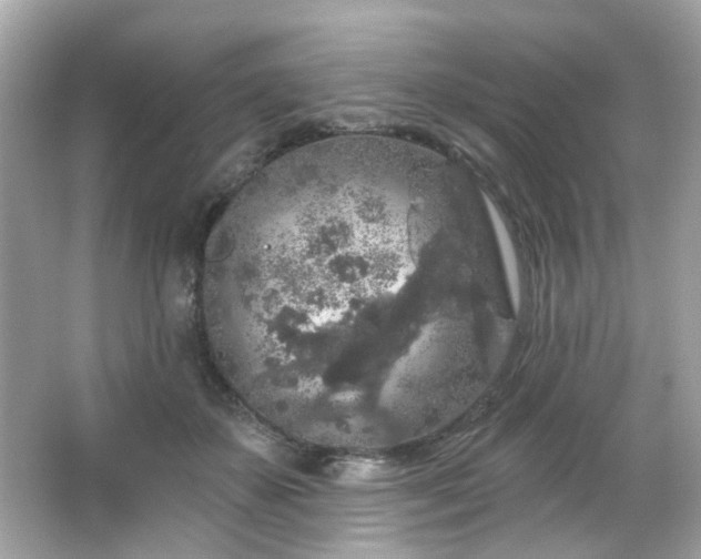 X0000066090507200603101209