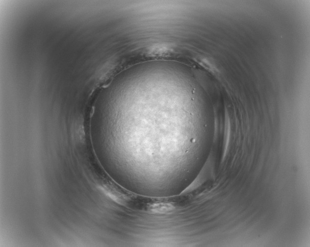 X0000066090508200603101209