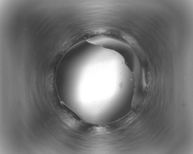 X0000066090509200603101209