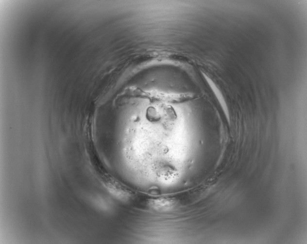 X0000066090511200603101209