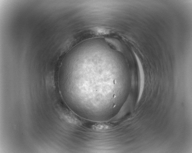 X0000066090512200603101209